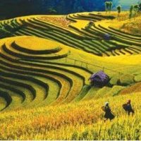 gemstone-painting-hill-in-harvest