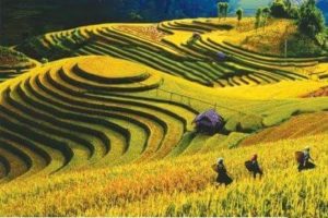 gemstone-painting-hill-in-harvest