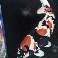 Gemstone painting fish